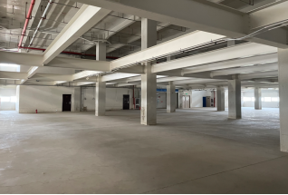 3100平临路厂房仓库｜地铁3号线旁｜适合电商一件代发/冷链中转